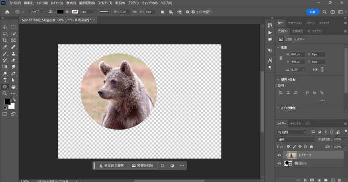 作成した図形の形でマスクが適用される