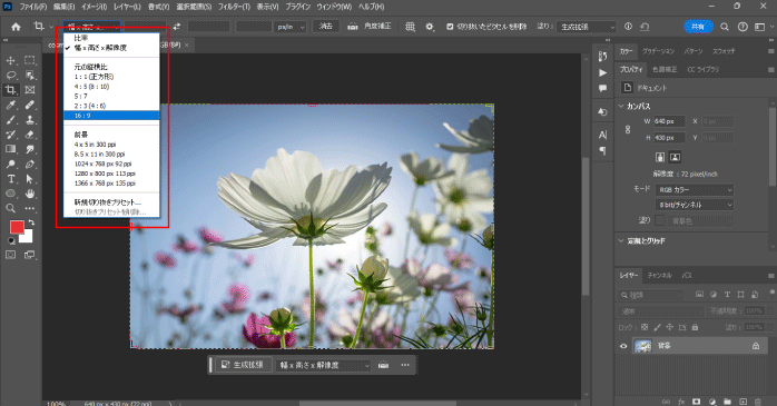 用意されているプリセットから適用させたい比率の項目を選択する