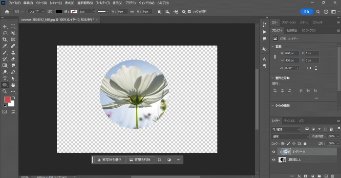 楕円形で切り抜かれる