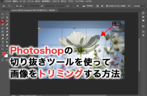 Photoshopの切り抜きツールを使ったトリミング方法を解説！