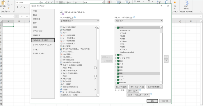 「リボンのユーザー設定」の右側のリストから「開発」にチェックを入れる
