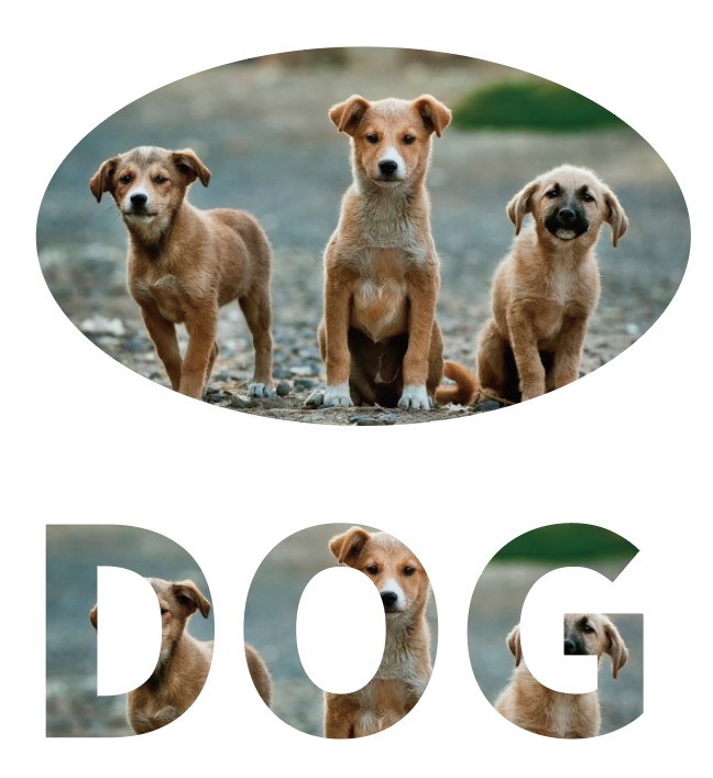 イラレのクリッピングマスクとは何？