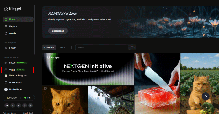 「Video」を選択する