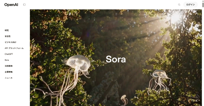 Sora