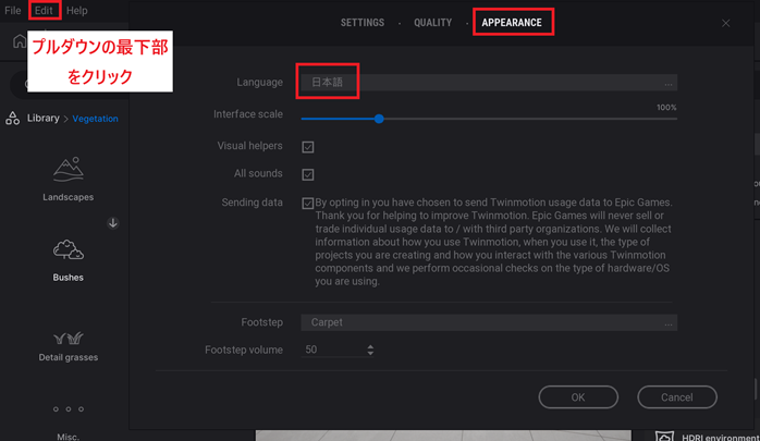 Twinmotionの日本語化