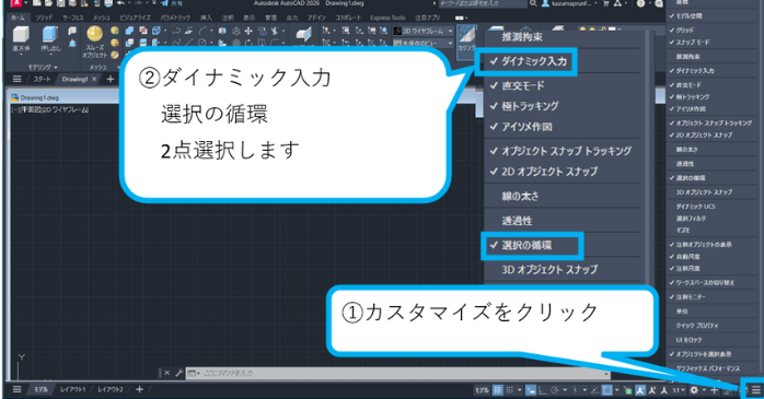 カスタマイズ選択