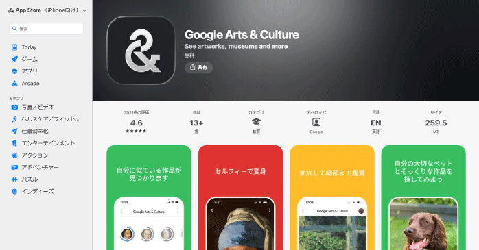 Google Arts & Culture