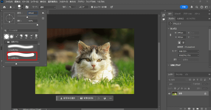 「ハード円ブラシ」を選択する