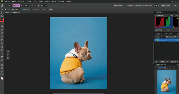 選択範囲を作成する