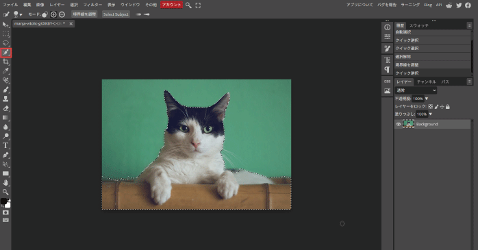 クイック選択ツールを選択した状態で被写体をドラッグする